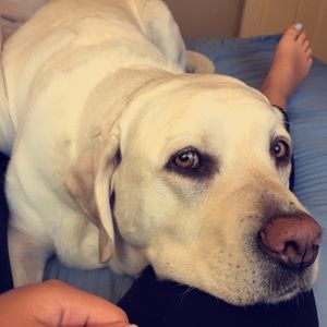 Meet your Posher, Claire